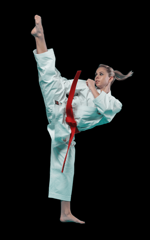 artimage_229364_0_201208220053994